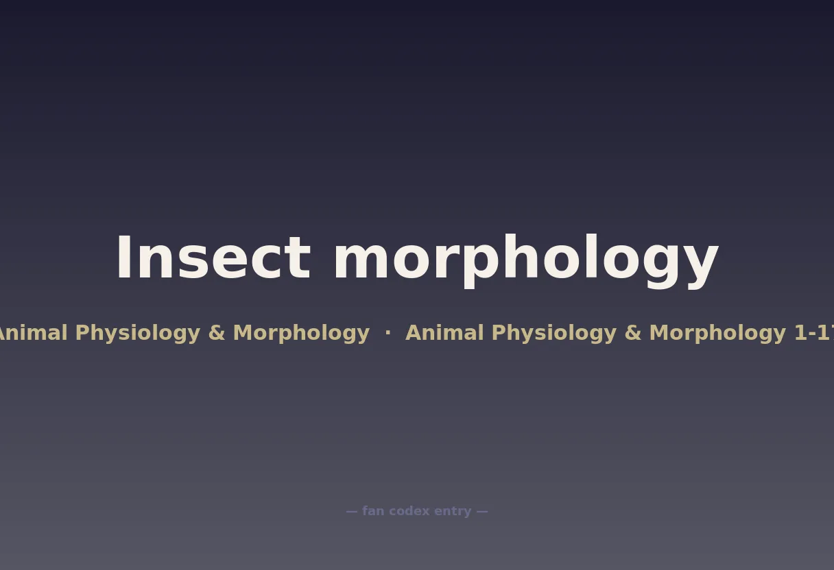 Insect morphology